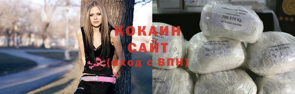 молекула духа Ладушкин