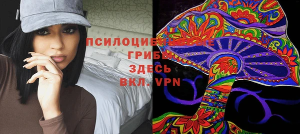 герыч Лагань