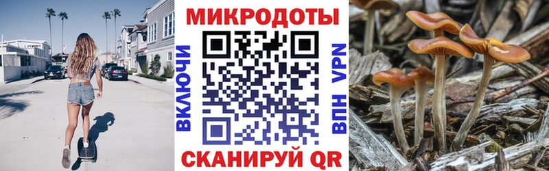 Купить закладки  Саранск  Псилоцибиновые грибы Cubensis 